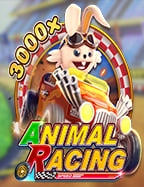 โปรแกรม สูตร โกง บา คา ร่า ที่ต้องลองออกไปพิสูจน์!