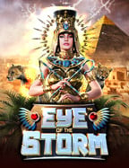 เดิมพัน บอล: อยากรวยต้องศึกษา!