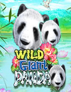 รีวิวสล็อต joker999 แจ็คพอตใหญ่รออยู่!