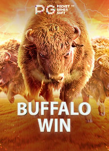 Roma โบนัส กับสูตรสร้างโอกาสชนะง่ายๆ