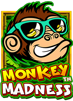 slotxo เล่น ผ่าน หน้า เว็บ วิธีเล่นสำหรับมือใหม่